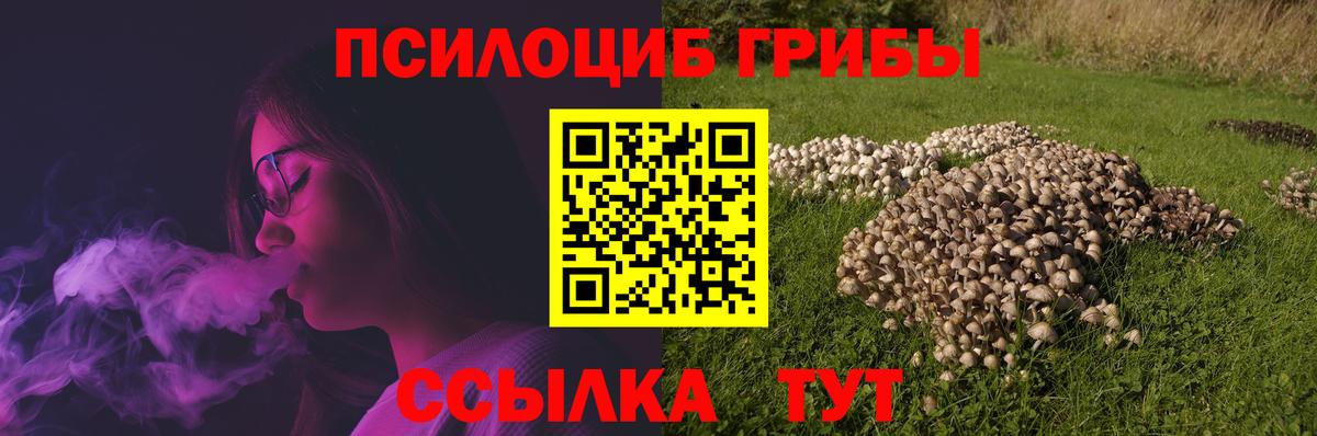 Чистополь  Псилоцибиновые грибы Psilocybe  Псилоцибиновые грибы ЛСД  Вход с VPN 