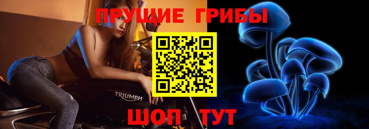 Псилоцибиновые грибы мицелий Чистополь